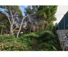 Venta de parcelas, Les Rotes, Denia
