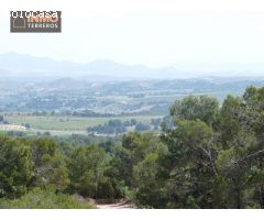A la venta magnífica finca ecológica con 15 parcelas entre Murcia y Andalucía.