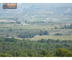 A la venta magnífica finca ecológica con 15 parcelas entre Murcia y Andalucía.