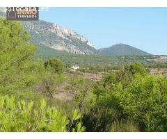 A la venta magnífica finca ecológica con 15 parcelas entre Murcia y Andalucía.