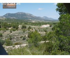 A la venta magnífica finca ecológica con 15 parcelas entre Murcia y Andalucía.