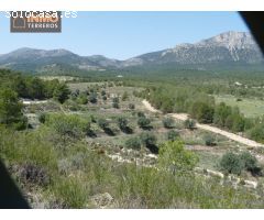 A la venta magnífica finca ecológica con 15 parcelas entre Murcia y Andalucía.