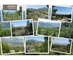 A la venta magnífica finca ecológica con 15 parcelas entre Murcia y Andalucía.