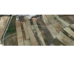 Finca rustica en Venta en Padules, Granada