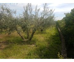 Finca rustica en Venta en Otura, Granada