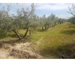 Finca rustica en Venta en Otura, Granada
