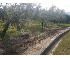 Finca rustica en Venta en Otura, Granada