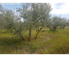 Finca rustica en Venta en Otura, Granada