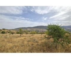 Finca rustica en Venta en Padules, Granada