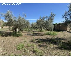 Terreno rural en Venta en Padules, Granada