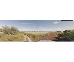 Terreno rural en Venta en Alhendín, Granada