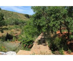 FINCA DE RECREO