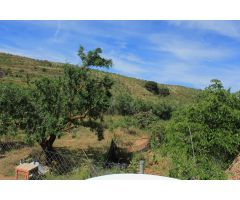 FINCA DE RECREO