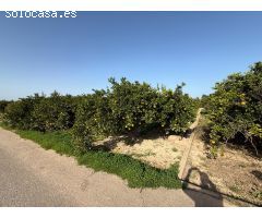 TERRENO RUSTICO,  EN POLIÑA DE XUQUER,  CON NARAJOS, APTO TAMBIEN PARA HUERTA .