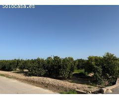 TERRENO RUSTICO,  EN POLIÑA DE XUQUER,  CON NARAJOS, APTO TAMBIEN PARA HUERTA .