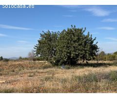 TERRENO RUSTICO VALLADO DE 10500 MQ. , CON POSIBILIDAD DE CONSTRUCCION DE UNA CASA.