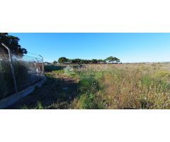 VENTA DE TERRENO EN EL ALTET, ELCHE. ALICANTE