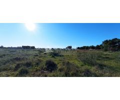 VENTA DE TERRENO EN EL ALTET, ELCHE. ALICANTE