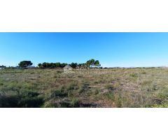 VENTA DE TERRENO EN EL ALTET, ELCHE. ALICANTE