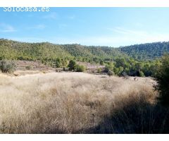 INMOBILIARIA SAN JOSE VENDE TERRENO RURAL EN MONOVAR ZONA LA ROMANETA