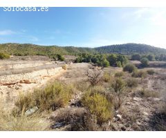 INMOBILIARIA SAN JOSE VENDE TERRENO RURAL EN MONOVAR ZONA LA ROMANETA