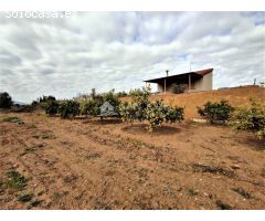 SE VENDE CHALET EN NOVELDA EN ZONA EL PLÁ.