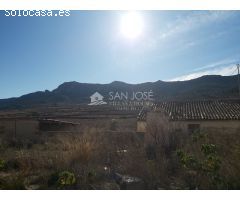 INMOBILIARIA SAN JOSE VENDE CASA CUEVA CON TERRENO EN LA PARTIDA DEL ALGAYAT EN LA ROMANA