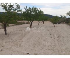 VENTA DE PARCELA EN PINOSO , RUSTICO AGRARIO ECOLÓGICO SECANO