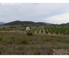 VENTA DE PARCELA EN PINOSO , RUSTICO AGRARIO ECOLÓGICO SECANO