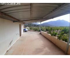 SE VENDE PARCELA EN PRODUCCION DE VIÑA MONASTRELL CON CASA, ALGUEÑA, ABANILLA, CASA VITIA