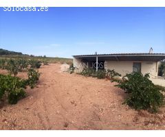 SE VENDE PARCELA EN PRODUCCION DE VIÑA MONASTRELL CON CASA, ALGUEÑA, ABANILLA, CASA VITIA