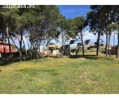 FINCA TERRENO URBANO EN ORITO, MONFORTE DEL CID, ALICANTE