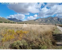 SE VENDE PARCELA EN CAÑADA DE LA LEÑA (ABANILLA) SPAIN