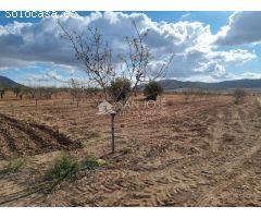 SE VENDE PARCELA EN CAÑADA DE LA LEÑA (ABANILLA) MURCIA