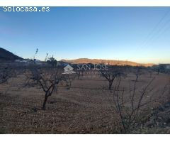 SE VENDE TERRENO EN LA ROMANA EN LA ZONA DE LAS CUEVAS DE SAN ANTON