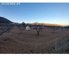 SE VENDE TERRENO EN LA ROMANA EN LA ZONA DE LAS CUEVAS DE SAN ANTON