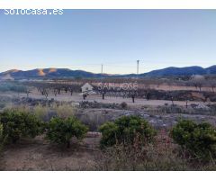 SE VENDE TERRENO EN LA ROMANA EN LA ZONA DE LAS CUEVAS DE SAN ANTON