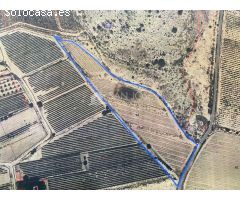 SE VENDE FINCA RUSTICA EN NOVELDA