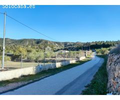 SE VENDE PARCELA EN HONDON DE LAS NIEVES ZONA BAYON