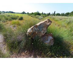 VENTA DE  PARCELA AGRARIO EL ALTET