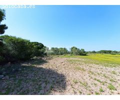 VENTA DE PARCELA RUSTICA EN EL ALTET