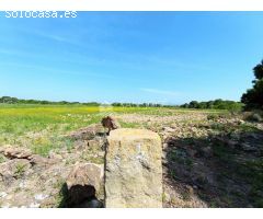 VENTA DE PARCELA RUSTICA EN EL ALTET