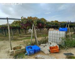 SE VENDE TERRENO CON CASA DE APEROS EN ASPE ZONA HUERTA MAYOR
