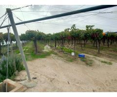 SE VENDE TERRENO CON CASA DE APEROS EN ASPE ZONA HUERTA MAYOR