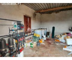 SE VENDE TERRENO CON CASA DE APEROS EN ASPE ZONA HUERTA MAYOR