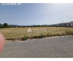 SOLAR TERRENO URBANO EN ZONA CASAS DEL SEÑOR , MONOVAR