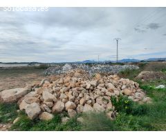SE VENDEN DOS FINCAS CON PRODUCCION DE UVA EN MONFORTE DEL CID