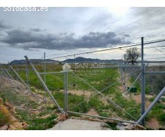 SE VENDEN DOS FINCAS CON PRODUCCION DE UVA EN MONFORTE DEL CID