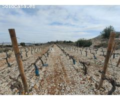 SE VENDE TERRENO RUSTICO CON MAGNIFICAS VISTAS EN ASPE