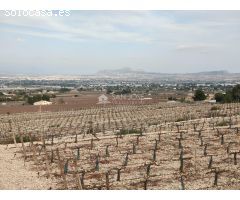 SE VENDE TERRENO RUSTICO CON MAGNIFICAS VISTAS EN ASPE
